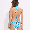 Resim Kadın Fleche Flowers Tie & Dye Bikini Üstü